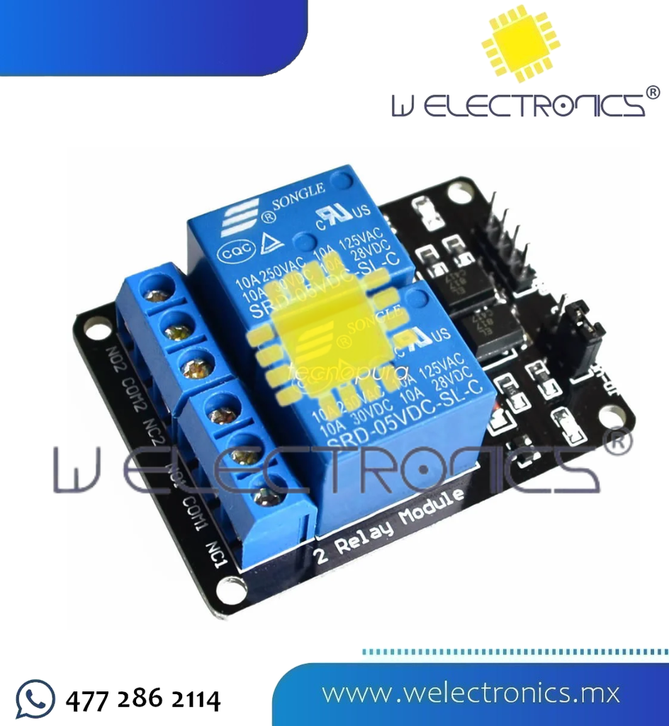MODULO 2 RELEVADORES 24V